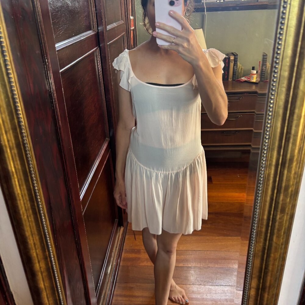 NWT Reformation x NYC Ballet Sheer Pink Ruffle Drop Waist Dress